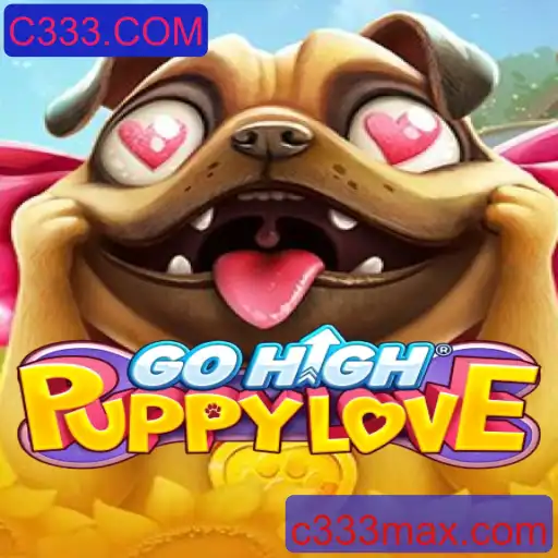 GoHighPuppyLove: Explore a Aventura Canina com C333.COM